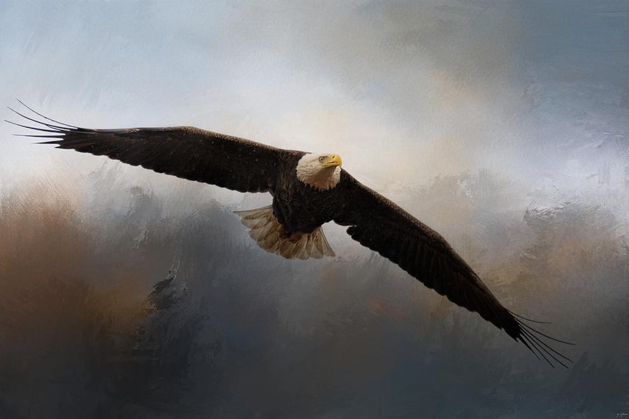 Eagle Photograph - In The Midst Of The Storm by Jai Johnson