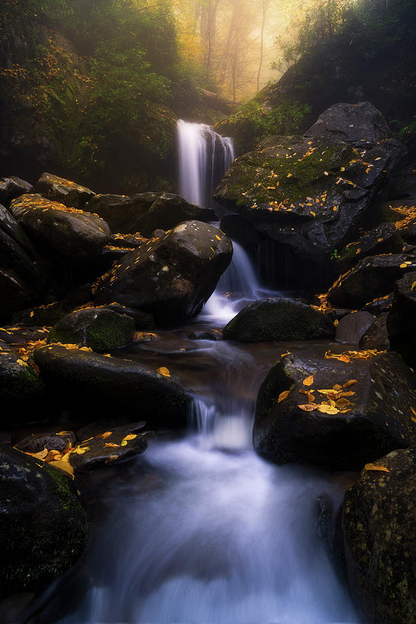 In The Mist by Bjorn Burton In The Mist by Bjorn Burton