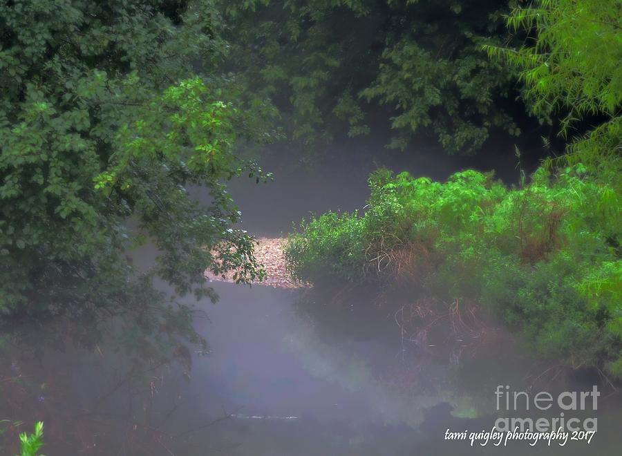 In The Mist Of A Summer Evening Photograph by Tami Quigley