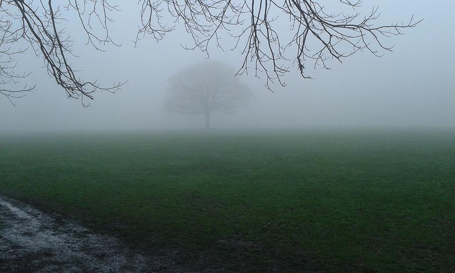 Nature Photograph - In the Mists of Winter by Carl Wood