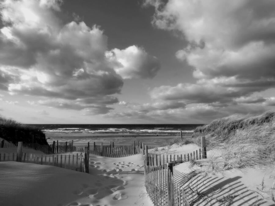 In The Mood Photograph by Dianne Cowen Cape Cod Photography