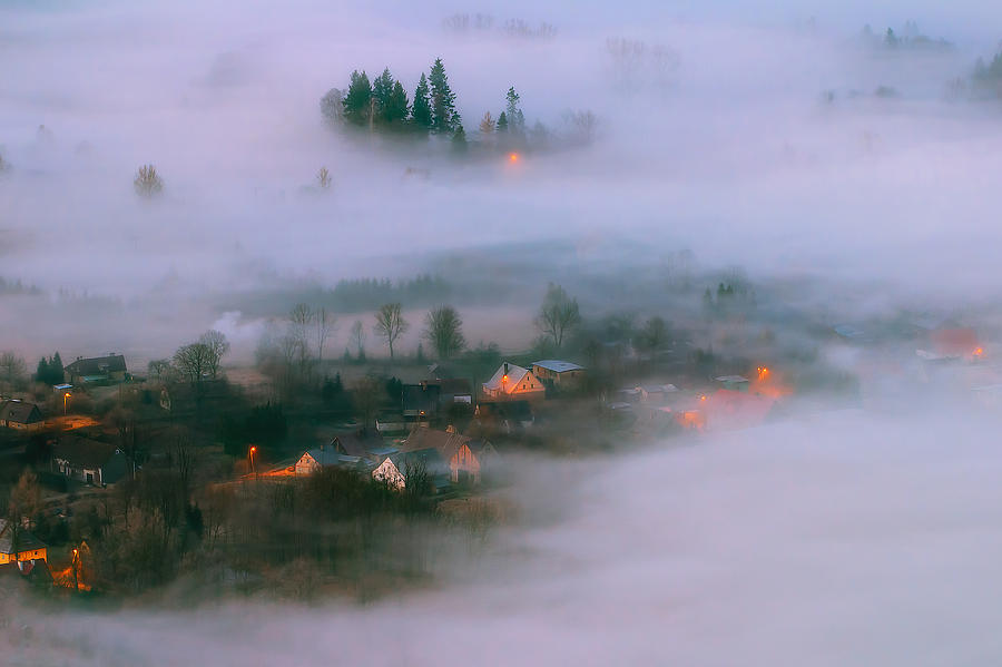 In The Morning Fog Photograph by Piotr Krol (bax)