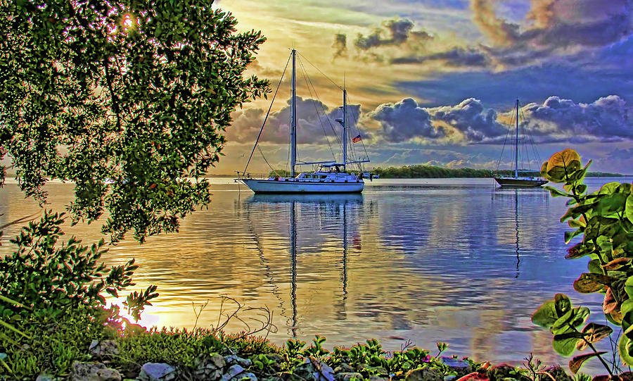 In The Morning Light Photograph by HH Photography of Florida