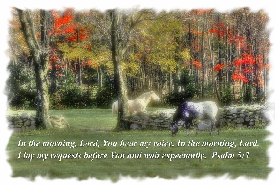 In the Morning Lord, You Hear My Voice. I Lay My Requests Before You and Wait Expectantly. Psalm 5.3 Photograph by Michael Mazaika