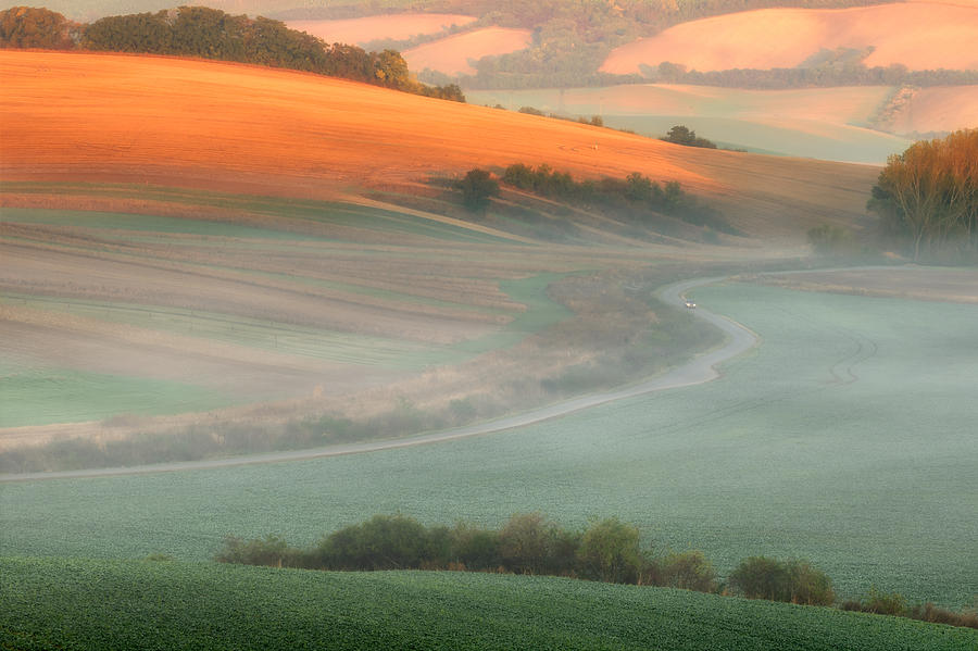 In The Morning Mist Photograph by Piotr Krol (bax)