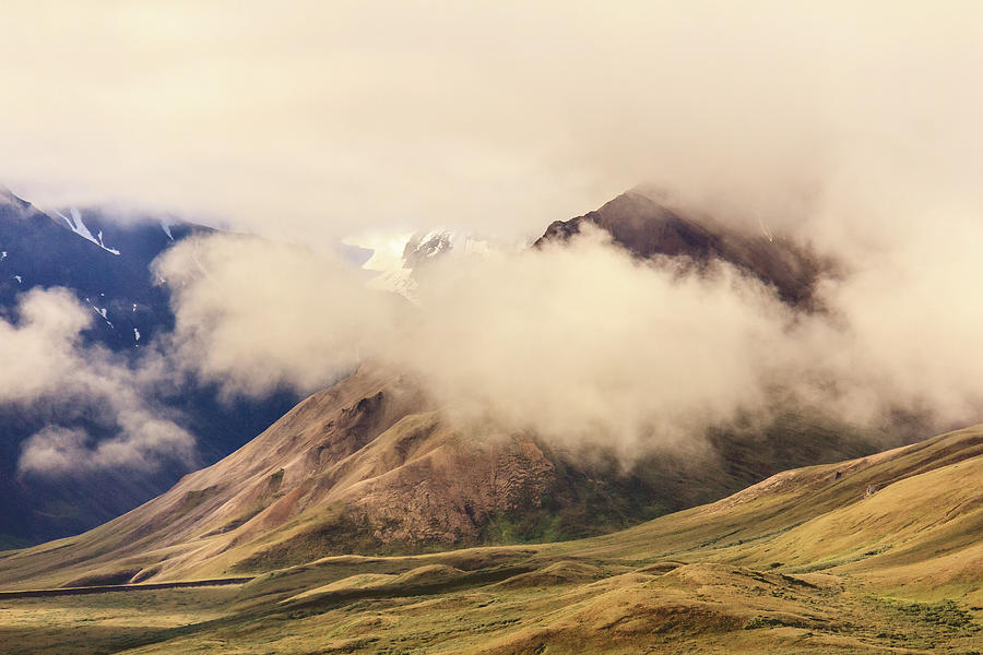 In the Mountains of Denali Photograph by Joni Eskridge