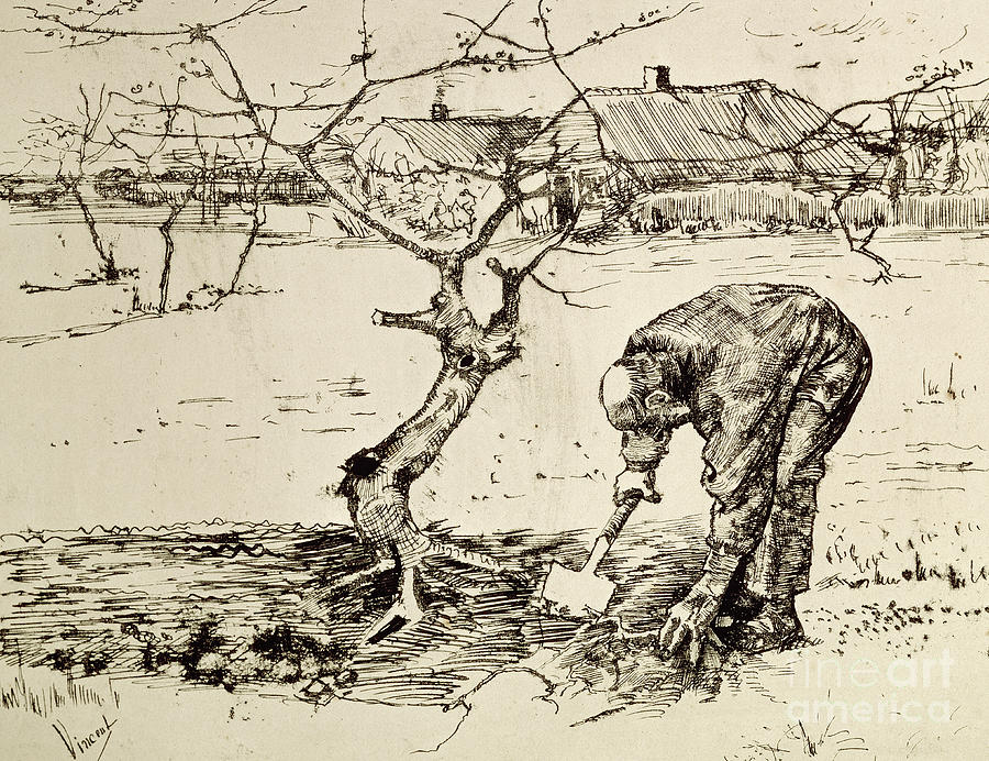 In the Orchard  Drawing by Vincent Van Gogh