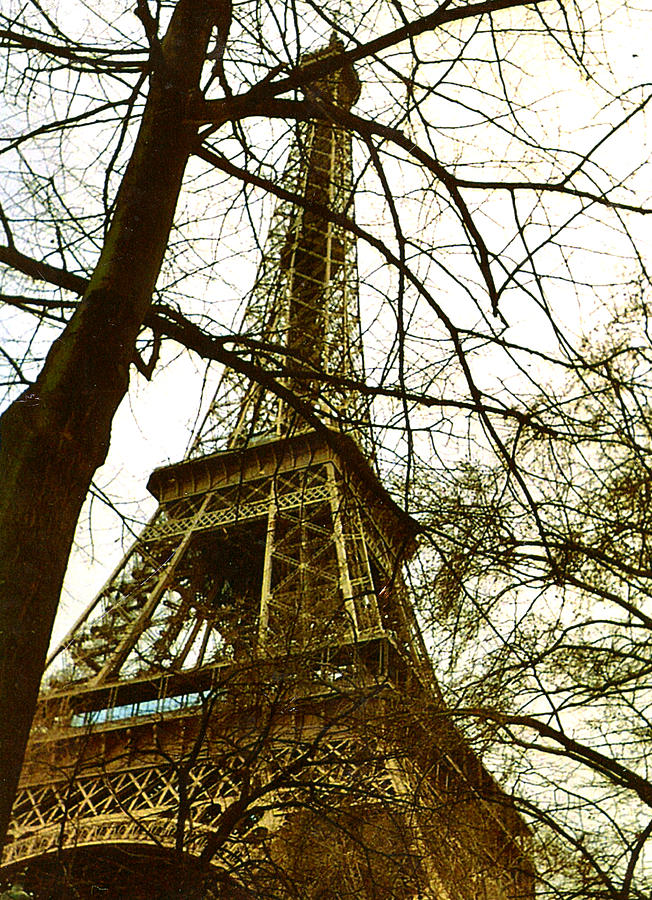 Eiffel Tower Paris Photograph - In the Park by Patrick OReilly