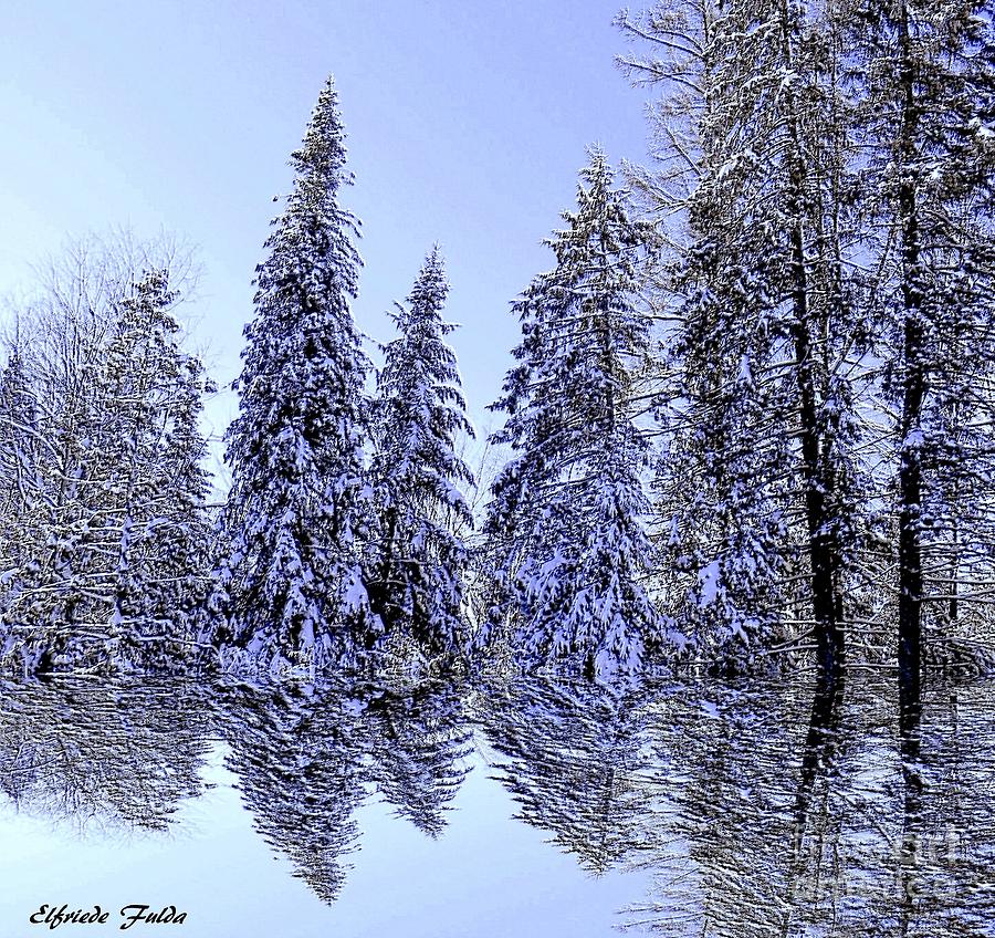 In the Pines Photograph by Elfriede Fulda