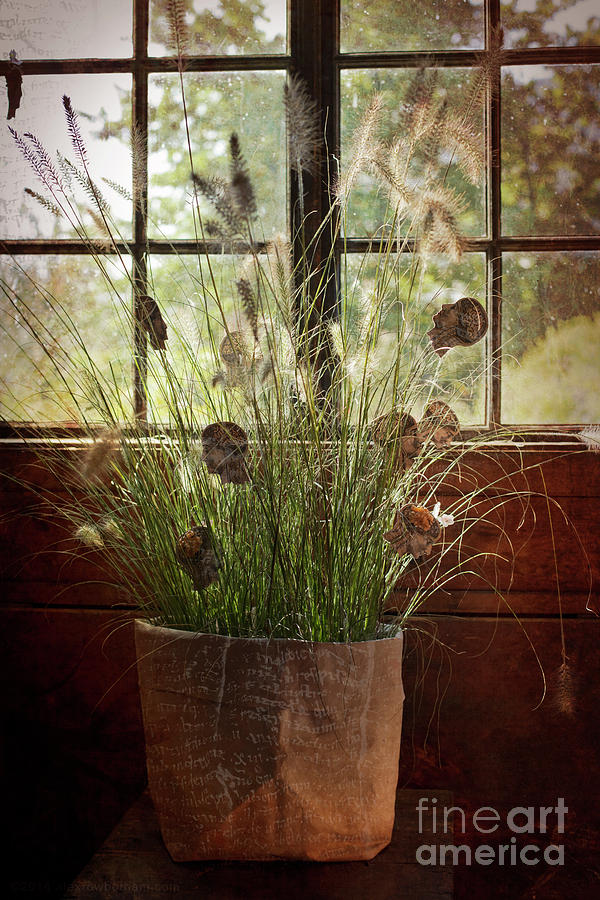 Flower Photograph - In the Potting Shed by Alex Rowbotham