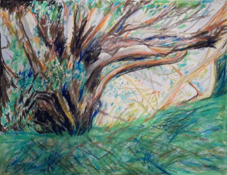 In the Shade of the Sycamore Tree near Ashdod Painting by Esther Newman-Cohen