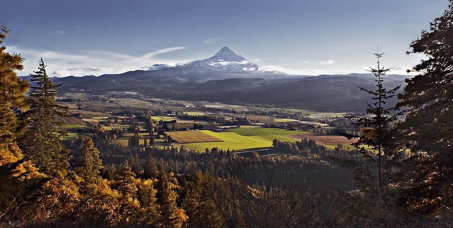 In the Shadow of Mount Hood Photograph by John Christopher