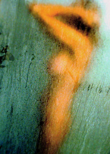In the Shower girl Photograph by Joseph Reilly