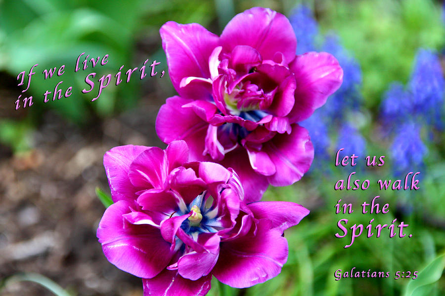 Bible Verse Photograph - In The Spirit by Terry Wallace