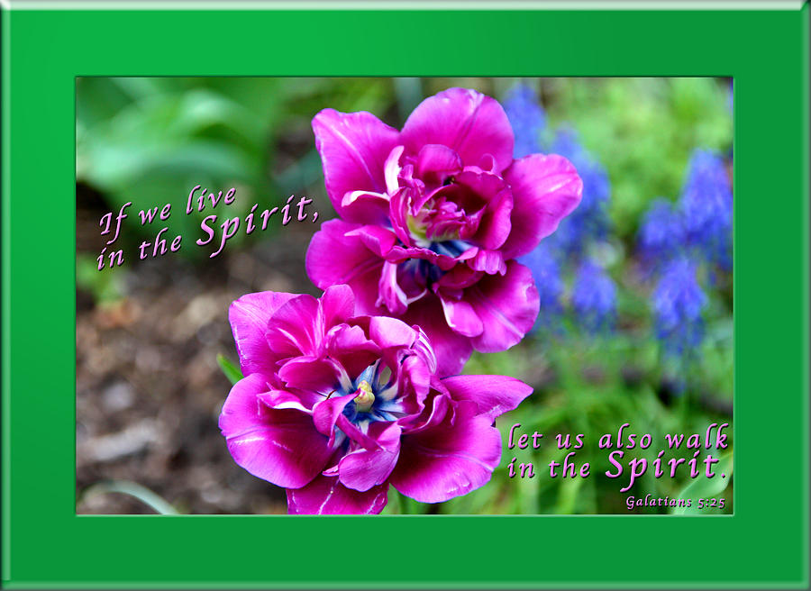 In The Spirit1 Photograph by Terry Wallace