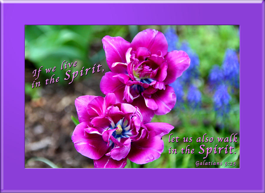 Bible Verse Photograph - In The Spirit2 by Terry Wallace