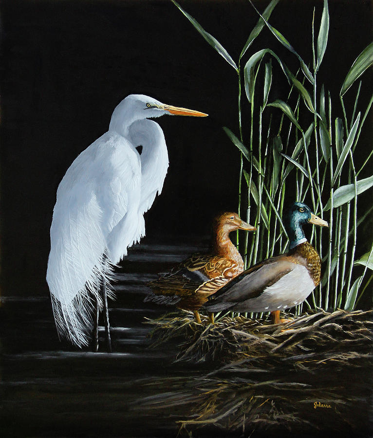 Egret Painting - In The Spotlight by Johanna Lerwick