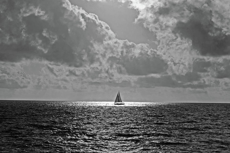 In the spotlight. Sailboat sailing in Naples Fl Black and White Photograph by Toby McGuire