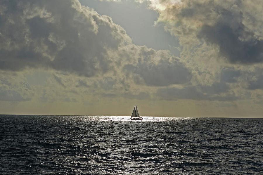 In the spotlight. Sailboat sailing in Naples Fl Photograph by Toby McGuire