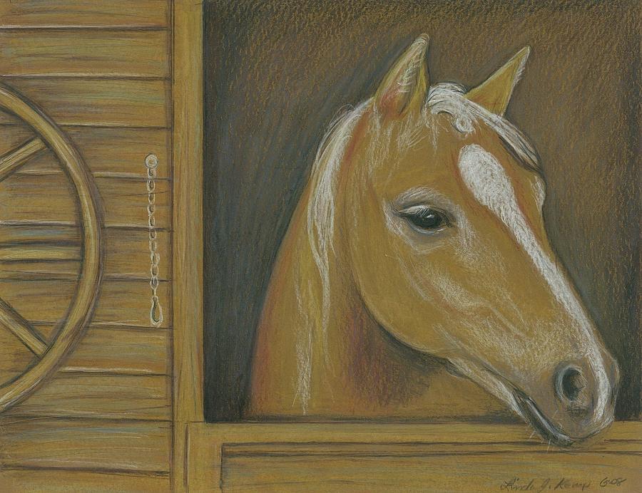 In The Stall Drawing by Linda Nielsen