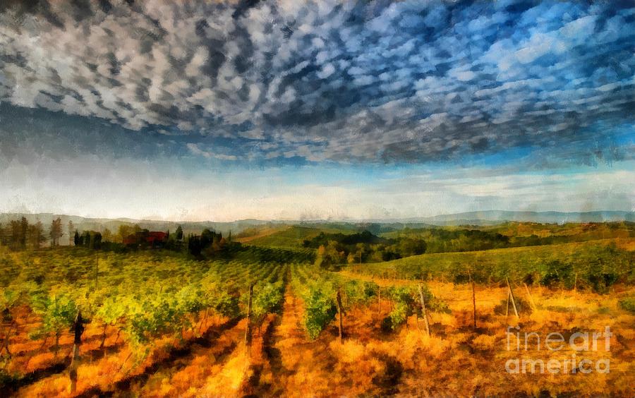 Wine Photograph - In the Vineyard Winery Landscape by Edward Fielding