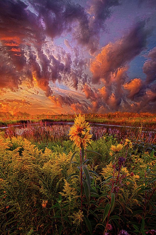 In The Warmth Of Natures Hand Photograph by Phil Koch
