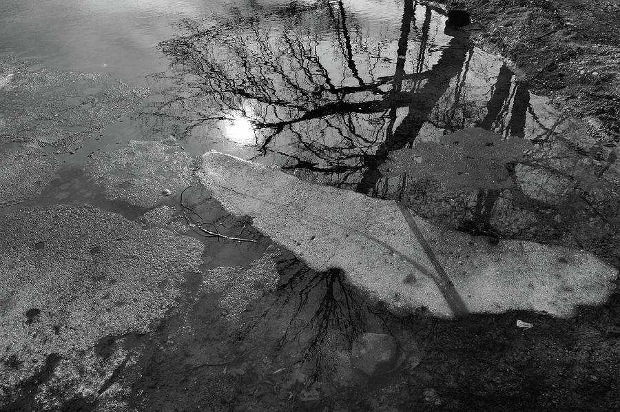 In The Water BW  Photograph by Lyle Crump