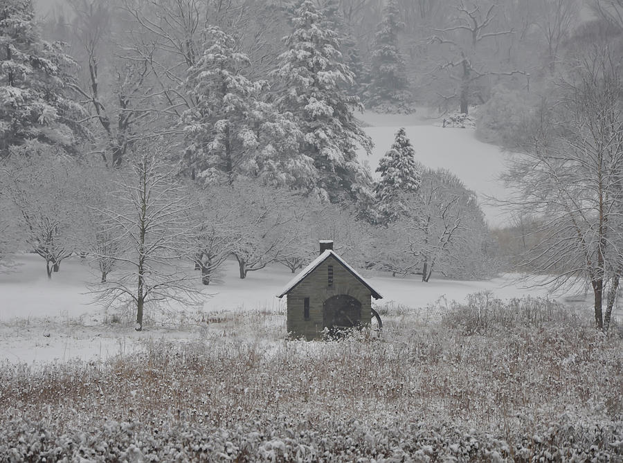 In the Winter at Morris Arboretum - Philadelphia Photograph by Bill Cannon
