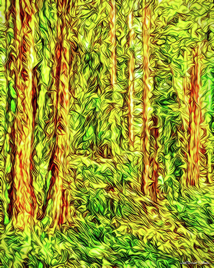In The Woods - Forest Trees Vashon Island Washington Digital Art by Joel Bruce Wallach