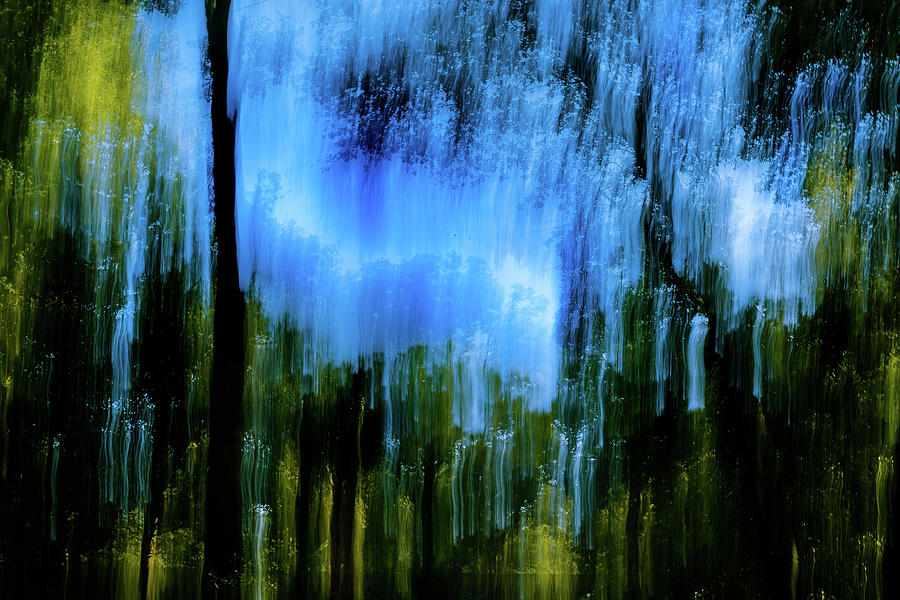 Abstract Photograph - In the Woods I by Larry Jones