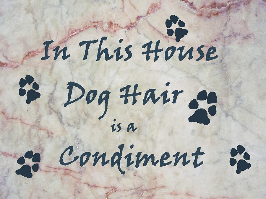 In This House Dog Hair is a Condiment Photograph by William Fields