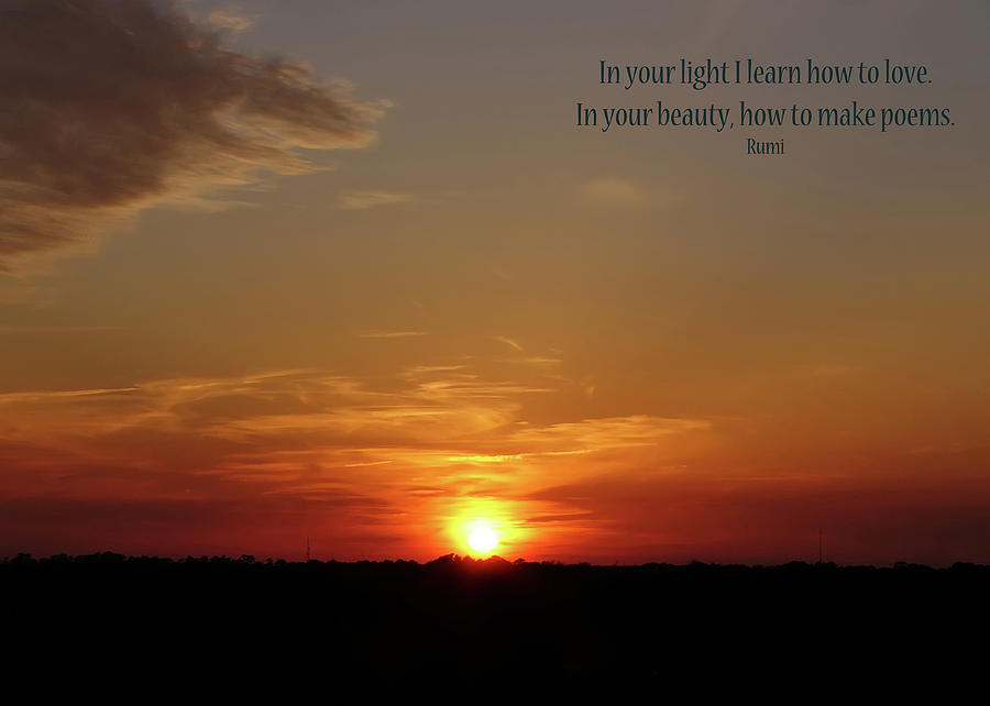 In Your Light Photograph by Rhonda McDougall