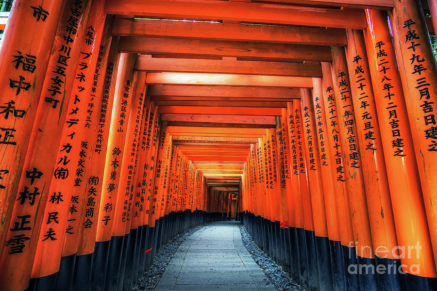 Architecture Photograph - Inari Gates by Aaron Choi