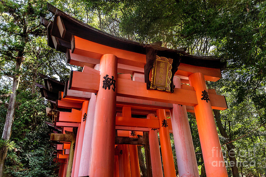 Inari Gates of Fushimi Inari-Taisha Photograph by Karen Jorstad