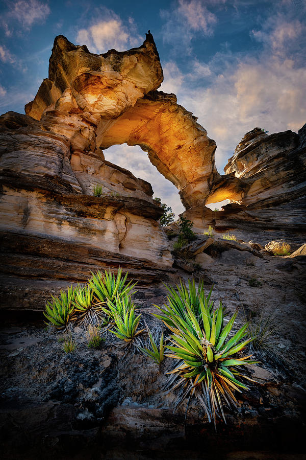 Inch Worm Arch Photograph by Michael Ash