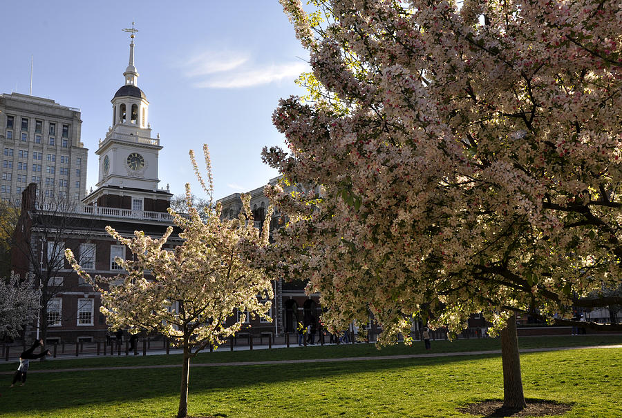 Independence Hall Photograph by Andrew Dinh