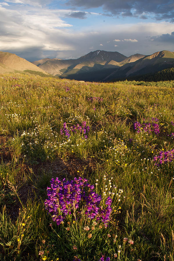 Independence Pass  Photograph by Aaron Spong