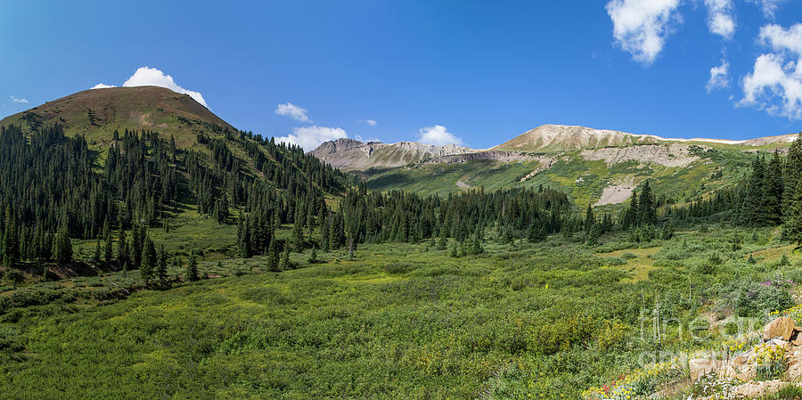 Independence Pass in Summer Photograph by Twenty Two West Photography ...