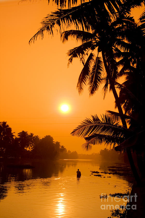 Lily Photograph - India Kerala by Juergen Held Lily Photograph - India Kerala by Juergen Held