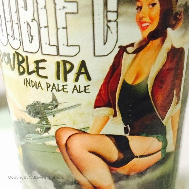Airplane Photograph - India Pale Ale   by Steven Digman