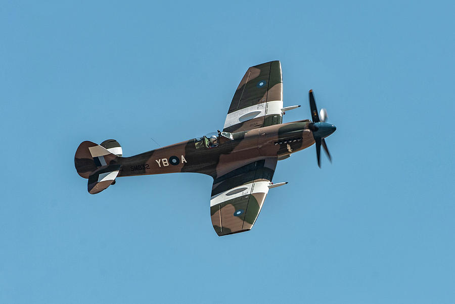 Indian Air Force Spitfire Mk.XIV Photograph by Erik Simonsen