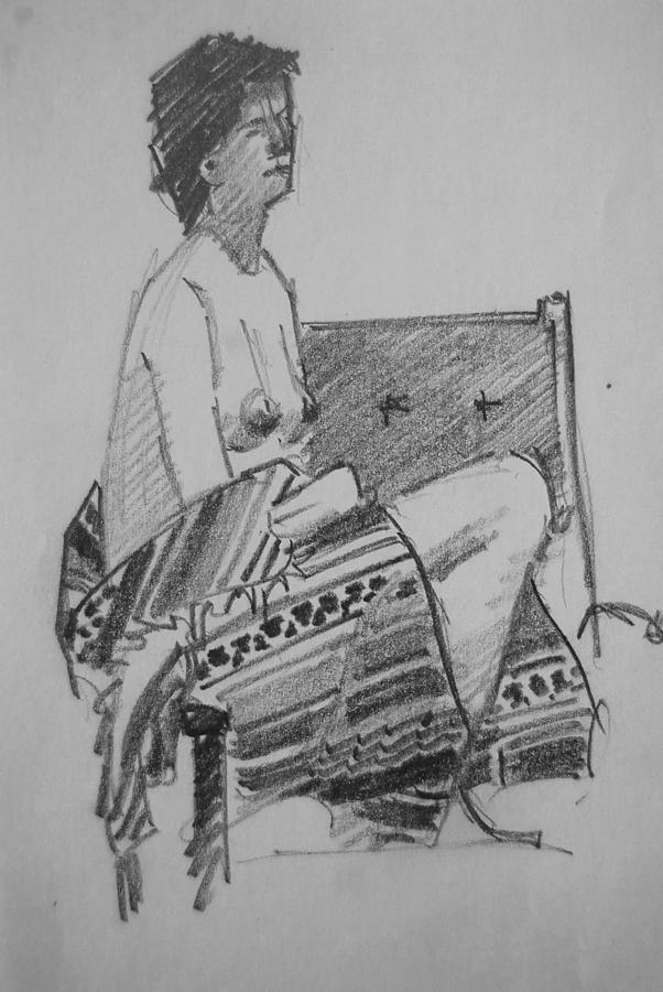 Indian Blanket 2 Drawing by Len Stomski