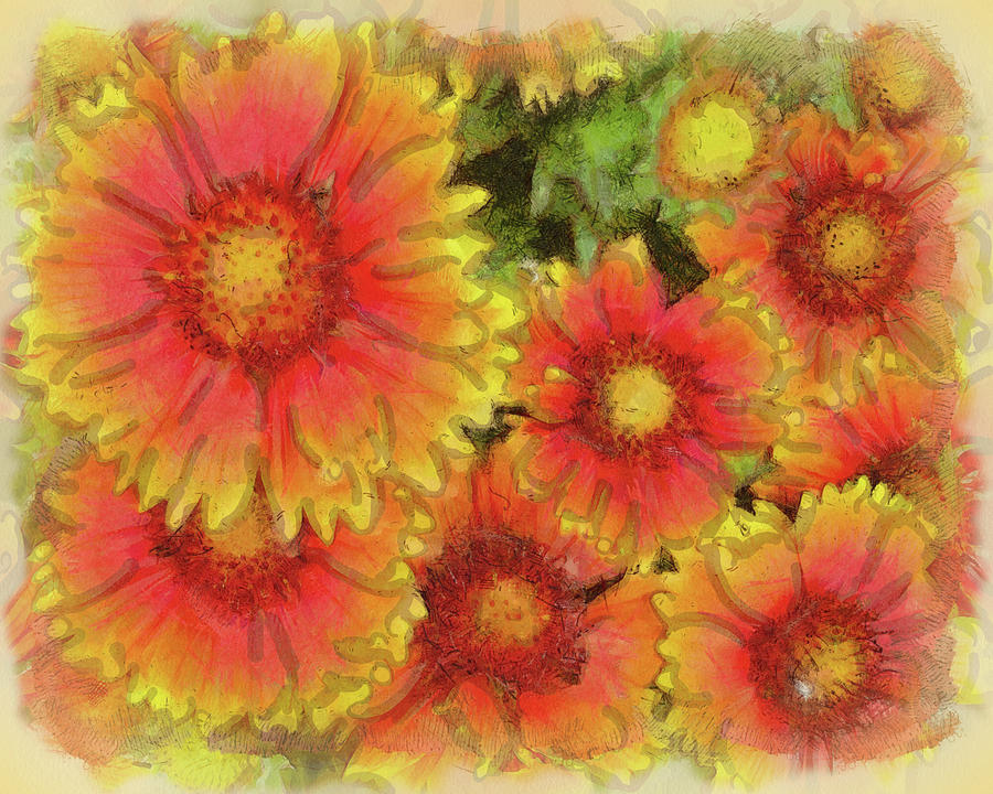 Indian Blanket Flowers Digital Art by Leslie Montgomery