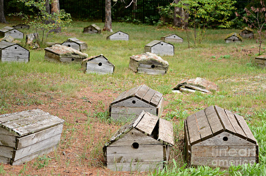 indian-burial-grounds-photograph-by-scott-ward-fine-art-america