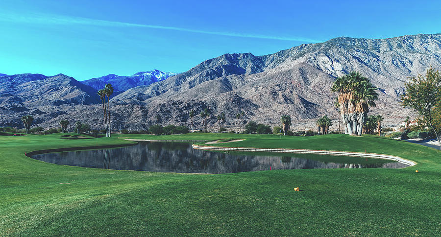Indian Canyons Golf Resort - Palm Springs, California Photograph by Mountain Dreams