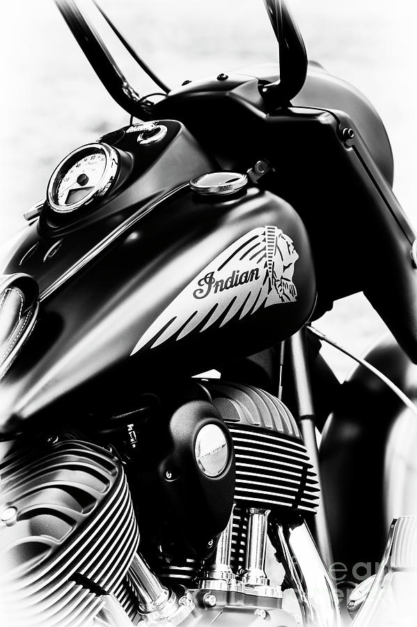 Indian Chief Dark Horse Photograph by Tim Gainey