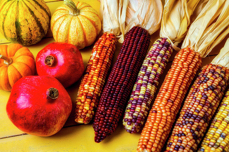 Fall Photograph - Indian Corn And Pomegranates by Garry Gay