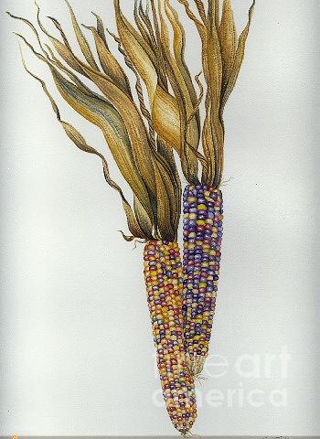 Fall Painting - Indian corn by Elizabeth H Tudor