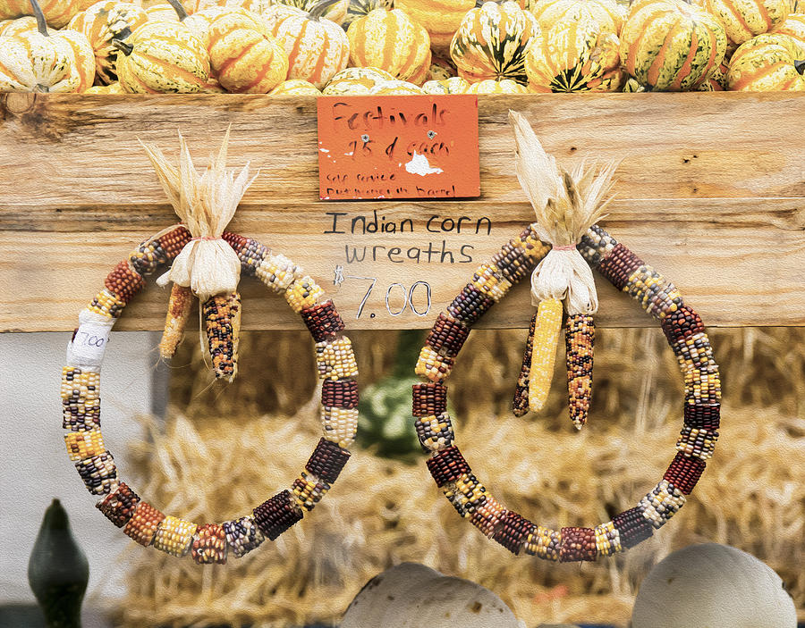 Indian Corn Wreaths Photograph by Tracy Winter