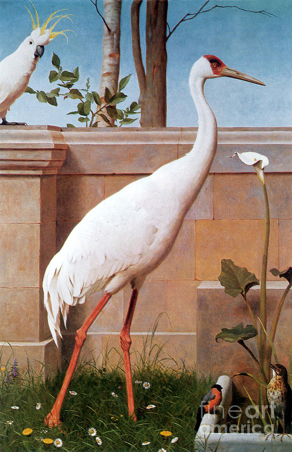 Indian Crane Painting by MotionAge Designs